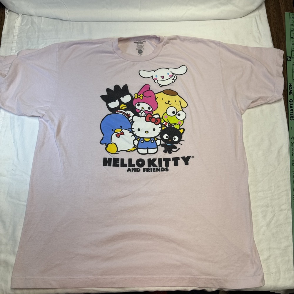 Hello Kitty Womens XL Shirt Pink Friends Short Sleeve Graphic Print Sanrio